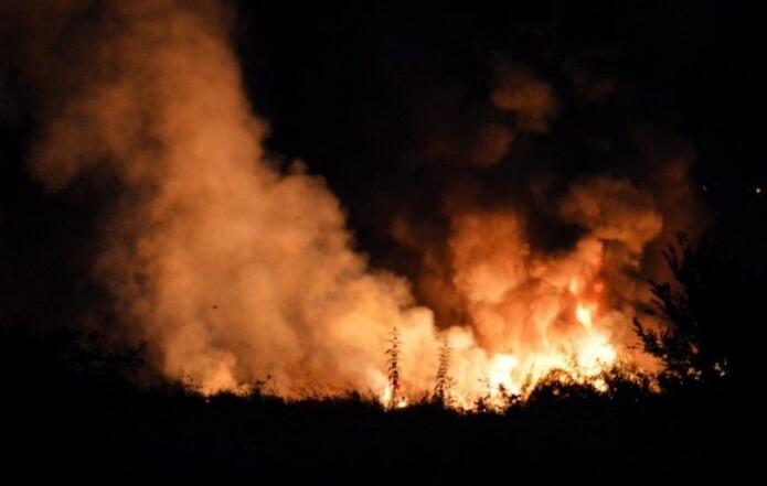 Greece aircraft crash: Footage shows cargo plane on fire before hitting ground