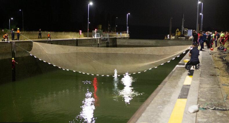 France whale: Rescue operation begins to save beluga stuck in Seine