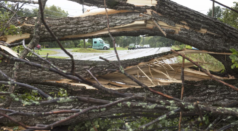 Atlantic storm Lee makes landfall in Canada with winds of 70 miles per hour, 1 man killed in Maine