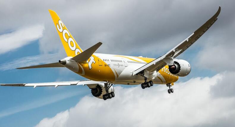 $33,000 in cash stolen from passengers in mid-air heist on Scoot flight