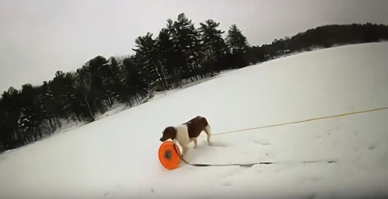 ‘Good girl!’ Officer enlists a Michigan man’s dog to help rescue him from an icy lake