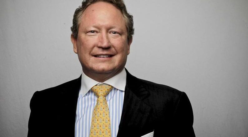 Australian billionaire Andrew ‘Twiggy’ Forrest pushes building new aid system for Gaza